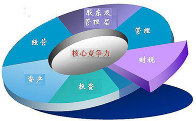 上海市中小企业发展服务中心丁才庆副主任一行莅临春雷所指导工作